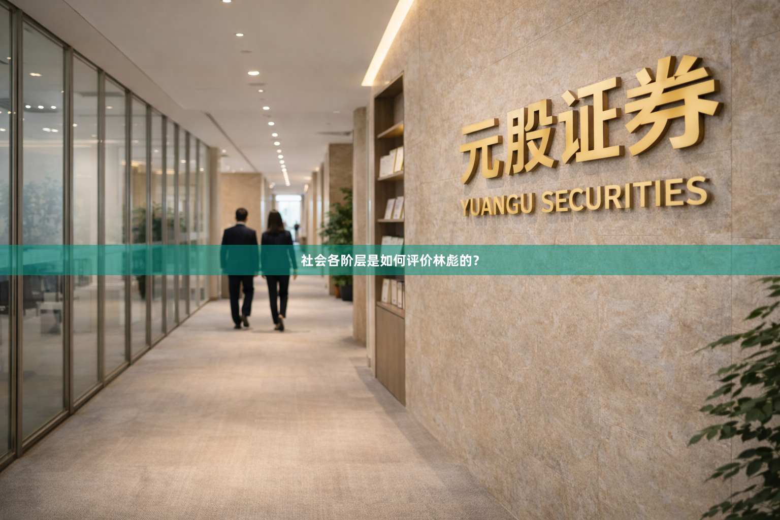 社会各阶层是如何评价林彪的？