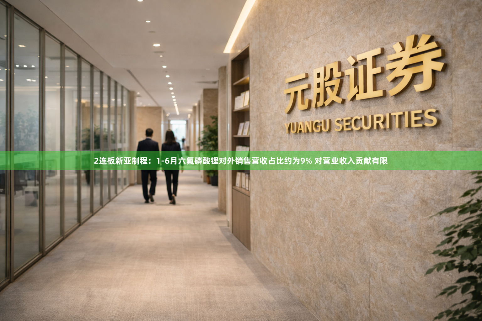2连板新亚制程：1-6月六氟磷酸锂对外销售营收占比约为9% 对营业收入贡献有限